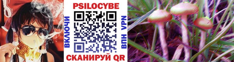 ОМГ ОМГ   Кондопога  Псилоцибиновые грибы Psilocybine cubensis 